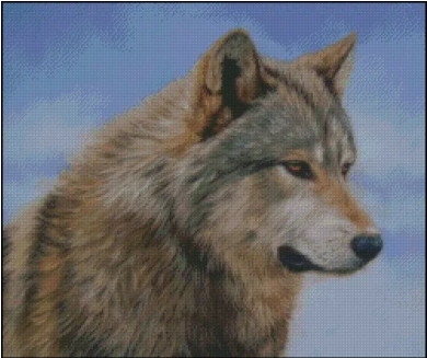 Timber Wolf Face